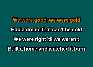 We were good, we were gold
Had a dream that can't be sold
We were right 'til we weren't

Built a home and watched it burn