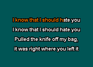 I know that I should hate you
I know that I should hate you
Pulled the knife off my bag,

it was right where you left it