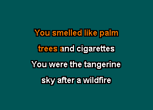 You smelled like palm

trees and cigarettes

You were the tangerine

sky after a wildfire