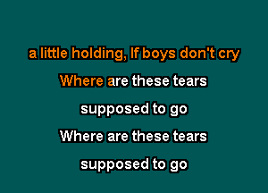 a little holding, lfboys don't cry

Where are these tears
supposed to go
Where are these tears

supposed to go
