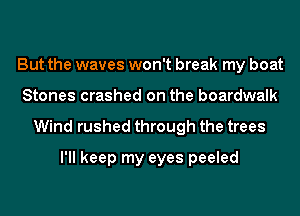 But the waves won't break my boat
Stones crashed on the boardwalk

Wind rushed through the trees
I'll keep my eyes peeled