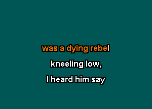 was a dying rebel

kneeling low,

I heard him say