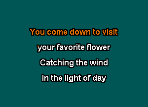 You come down to visit
your favorite flower

Catching the wind

in the light of day