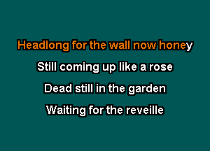 Headlong for the wall now honey

Still coming up like a rose

Dead still in the garden

Waiting forthe reveille