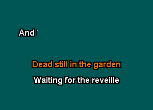 Dead still in the garden

Waiting forthe reveille