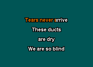 Tears never arrive

These ducts

are dry

We are so blind