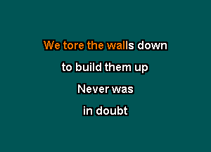 We tore the walls down

to build them up

Never was

in doubt