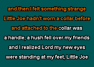 and then I felt something strange
Little Joe hadn't worn a collar before
and attached to the collar was
a handle, a hush fell over my friends
and I realized Lord my new eyes

were standing at my feet, Little Joe