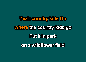 Yeah country kids Go

where the country kids go

Put it in park

on a wildflower field