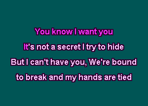 You know I want you

It's not a secret I try to hide

But I can't have you. We're bound

to break and my hands are tied