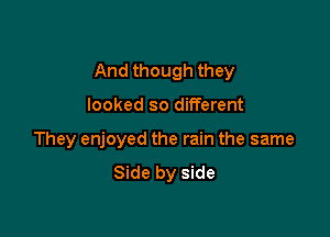 And though they

looked so different

They enjoyed the rain the same

Side by side