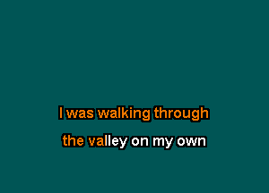I was walking through

the valley on my own