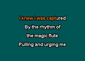 I knew I was captured
By the rhythm of

the magic flute

Pulling and urging me