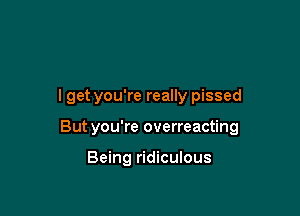 I get you're really pissed

Butyou're overreacting

Being ridiculous