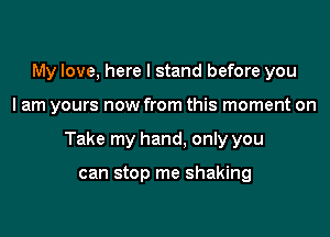 My love, here I stand before you

I am yours now from this moment on

Take my hand, only you

can stop me shaking