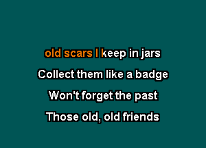 old scars I keep injars

Collectthem like a badge

Won't forget the past
Those old, old friends