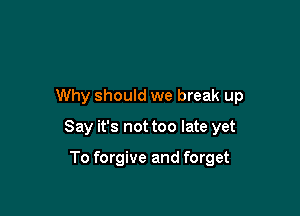 Why should we break up

Say it's not too late yet

To forgive and forget