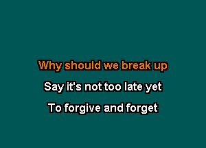 Why should we break up

Say it's not too late yet

To forgive and forget