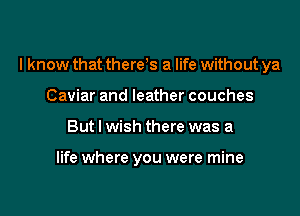 I know that there s a life without ya

Caviar and leather couches
But I wish there was a

life where you were mine