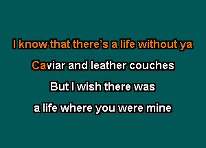 I know that there s a life without ya

Caviar and leather couches
But I wish there was

a life where you were mine