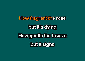 How fragrant the rose

but it's dying

How gentle the breeze

but it sighs