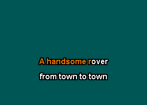 A handsome rover

from town to town