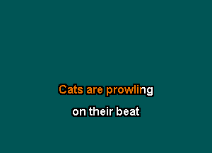 Cats are prowling

on their beat