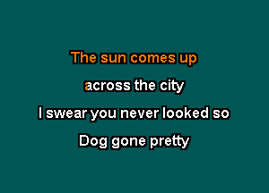 The sun comes up

across the city

I swear you never looked so

Dog gone pretty