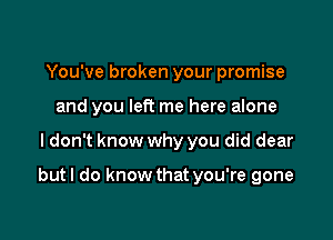 You've broken your promise
and you left me here alone

ldon't know why you did dear

butl do know that you're gone