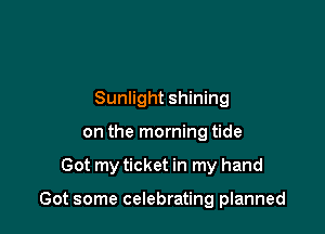 Sunlight shining
on the morning tide

Got my ticket in my hand

Got some celebrating planned