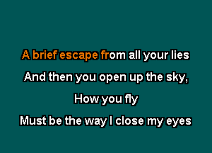 A brief escape from all your lies
And then you open up the sky,
How you fly

Must be the way I close my eyes