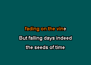 fading on the vine

Butfalling days indeed

the seeds oftime