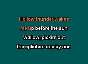 Hollow thunder wakes
me up before the sun

Wallow, pickin' out

the splinters one by one