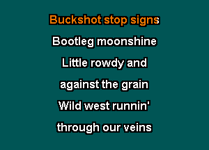 Buckshot stop signs

Bootleg moonshine
Little rowdy and
against the grain

Wild west runnin'

through our veins