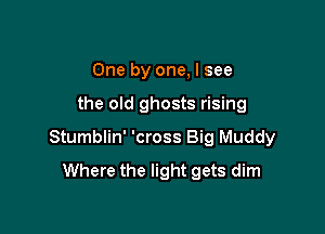 One by one, I see

the old ghosts rising

Stumblin' 'cross Big Muddy
Where the light gets dim