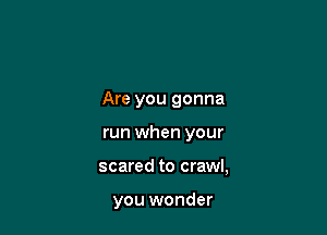 Are you gonna
run when your

scared to crawl,

you wonder