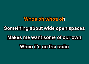 Whoa oh whoa oh

Something about wide open spaces

Makes me want some of our own

When it's on the radio