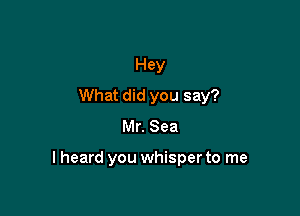 Hey
What did you say?
Mr. Sea

I heard you whisper to me