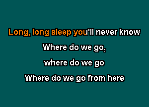 Long, long sleep you'll never know
Where do we go,

where do we go

Where do we go from here