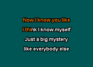 Now I know you like
lthink I know myself
Just a big mystery

like everybody else