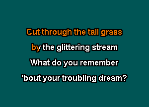 Cut through the tall grass
by the glittering stream

What do you remember

'bout your troubling dream?