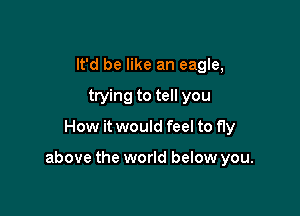 It'd be like an eagle,
trying to tell you

How it would feel to fly

above the world below you.