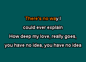 There's no way I
could ever explain

How deep my love. really goes,

you have no idea, you have no idea