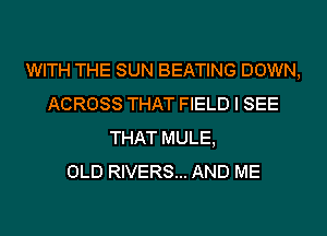 WITH THE SUN BEATING DOWN,
ACROSS THAT FIELD I SEE
THAT MULE,

OLD RIVERS... AND ME
