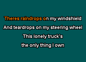 Theres raindrops on my windshield
And teardrops on my steering wheel

This lonely truck's

the only thing I own