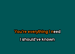 You're everything I need

I should've known