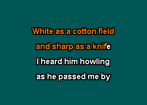 White as a cotton field

and sharp as a knife

I heard him howling

as he passed me by
