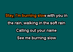 Stay, I'm burning slow with you in
the rain, walking in the soft rain

Calling out your name

See me burning slow