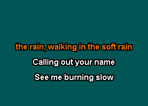 the rain, walking in the soft rain

Calling out your name

See me burning slow