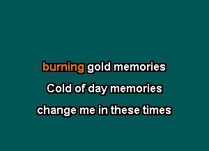 burning gold memories

Cold of day memories

change me in these times